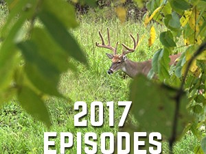 2017 Episodes