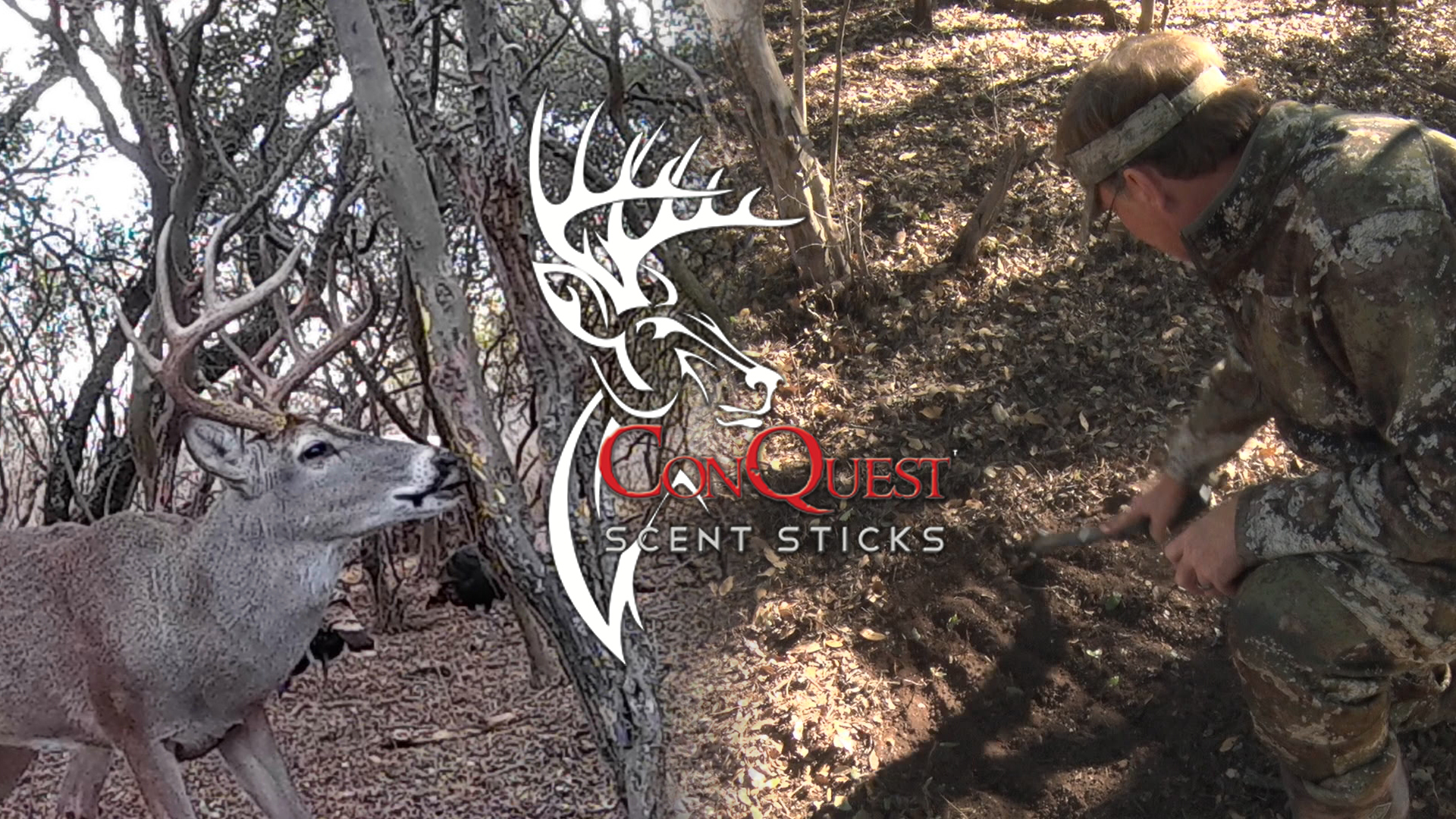 Three Tips For Attracting Deer Yamaha Whitetail Diaries